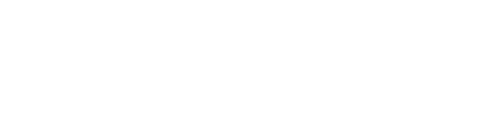 PROBSOL AI